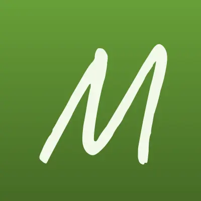 Мегатехника